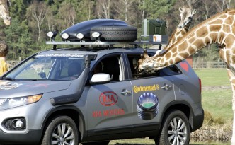 Serengeti Park Hodenhagen