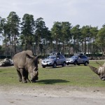 Serengeti Park Hodenhagen