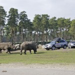 Serengeti Park Hodenhagen